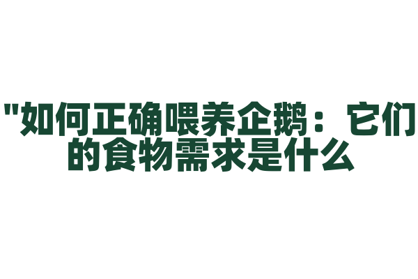"如何正确喂养企鹅：它们的食物需求是什么？"
